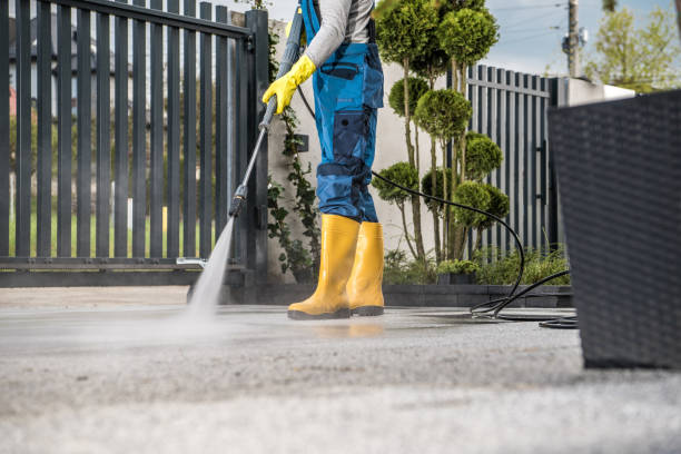 Best Fence Cleaning and Maintenance in Elmore, OH